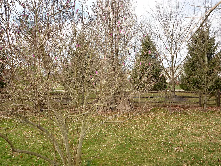 3 Woodsong Ct — Photo 23