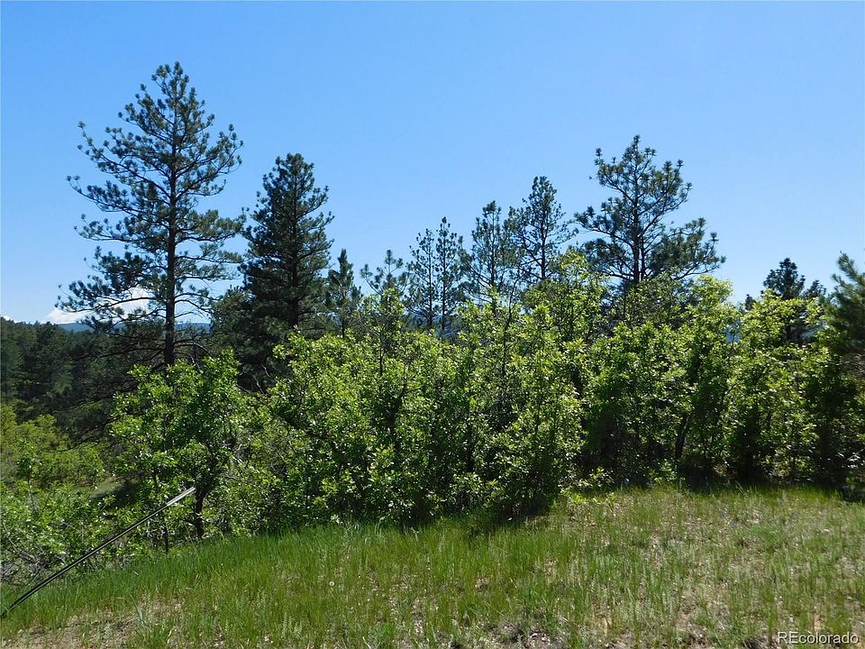 1st image of 2400 Senecio Dr