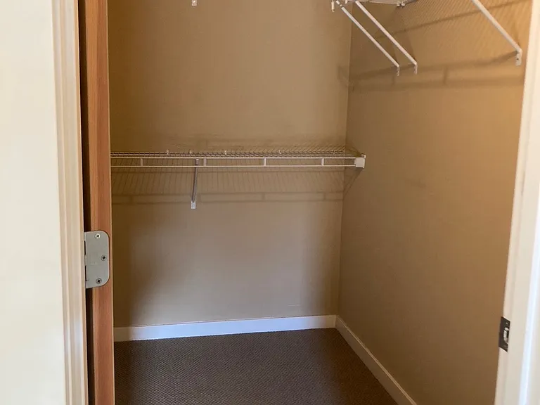Bedroom 2's walk-in closet