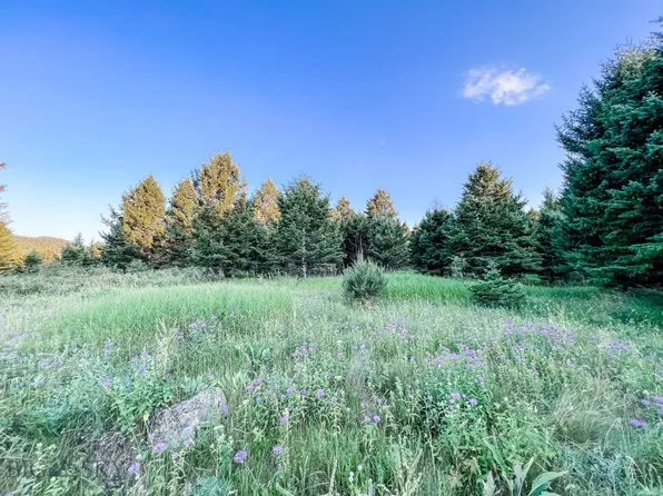 506 Livingston Peak Rd, Livingston, MT 59047