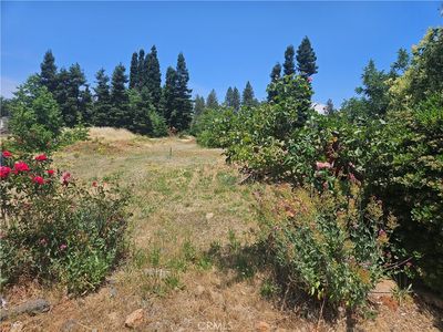 1379 Orput Ln, Paradise, CA, 95969