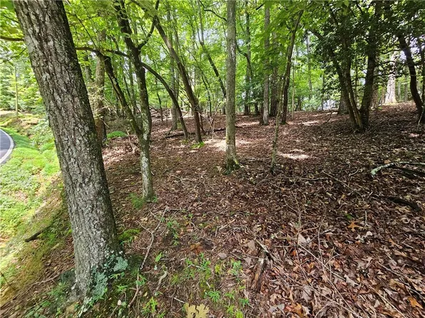 112R Water Oak Dr #112R, Ellijay, GA 30540