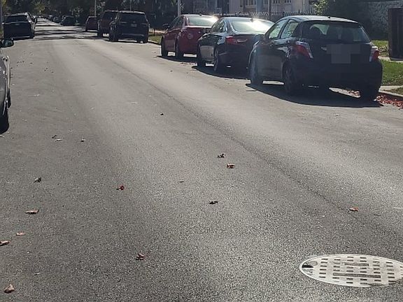 5th image of 1040 N Lorel Ave