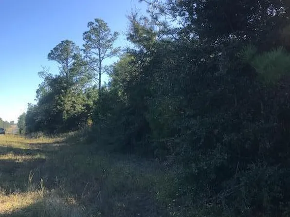 0 Fairview Rd #2, Alford, FL 32420