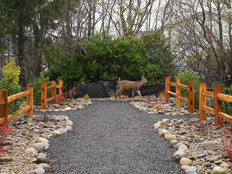 Tonquin Ave SW — Photo 13