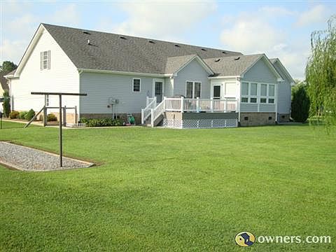 View from the back yard