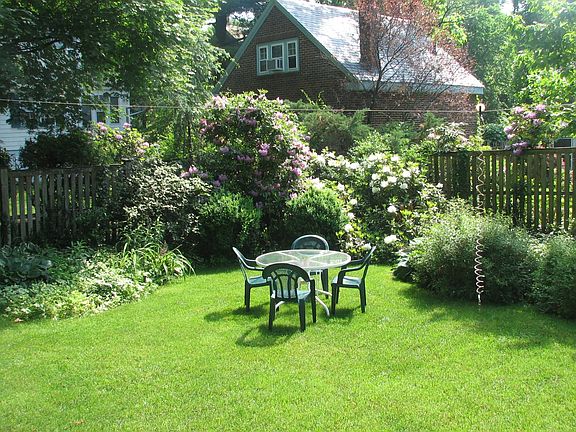 Backyard in early Summer