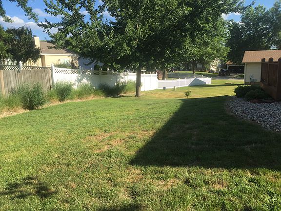 Back yard no 1