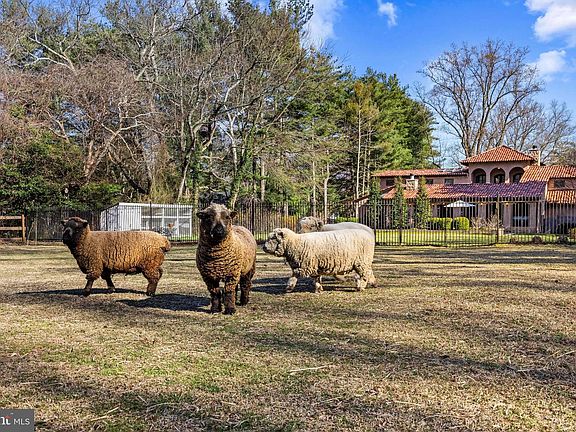 4th image of 1344 Tydings Rd