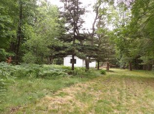 4175 Blue Vista Dr, Evart, MI 49631