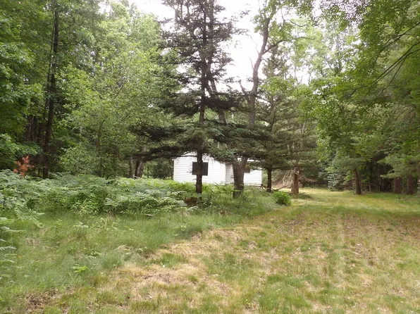 4175 Blue Vista Dr, Evart, MI 49631