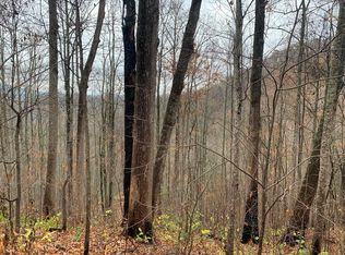 LOT 13 Emerald Springs Loop, Sevierville, TN 37862