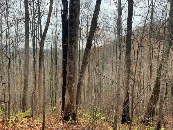 LOT 13 Emerald Springs Loop, Sevierville, TN 37862