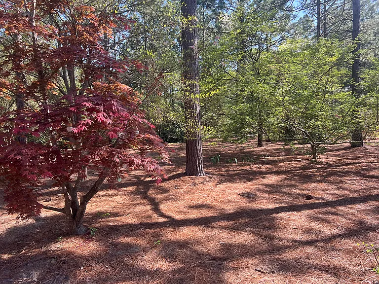 9 Pine Crest Dr — Photo 41