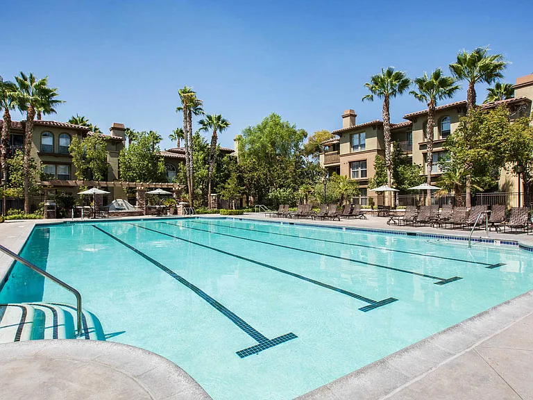 Olympic Sized Lap Pool