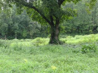 S Jones Mill Rd, Ellijay, GA 30540