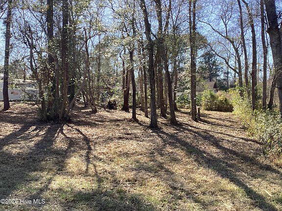 4th image of 2393 Shoreline Drive SW LOT 160 and 161 1/2