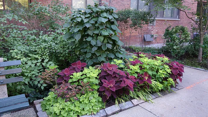 Sold by Owner | media 23