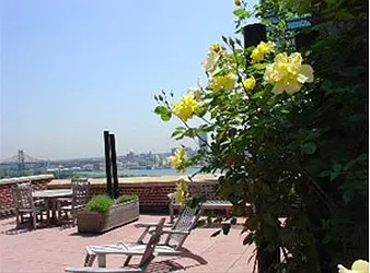 Rented by Citi Habitats