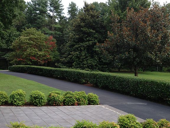 2nd image of 101 Rolling Green Cir