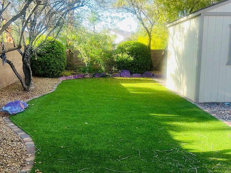 grass backyard
