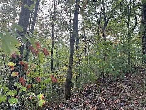 2nd image of 20 Sugar Maple Loop Lot 20