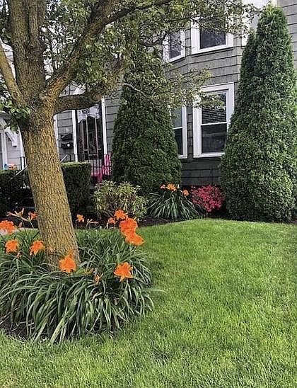1st image of 58 Avery Ave #1