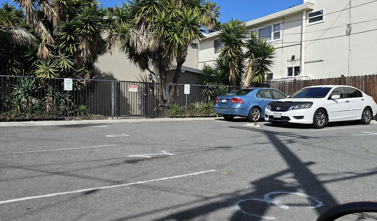 1 bed, 500 sqft, $1,450 — Photo 4