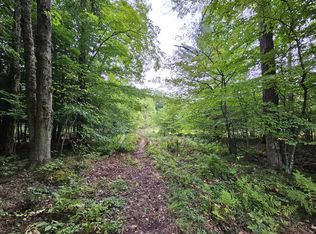 18174 Johnson Rd, Stanwood, MI 49346