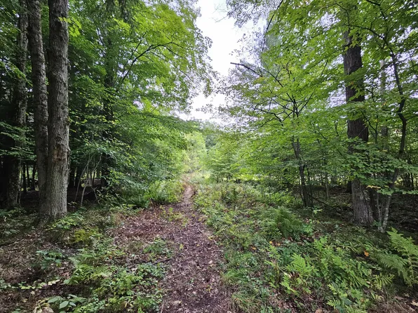 18174 Johnson Rd, Stanwood, MI 49346