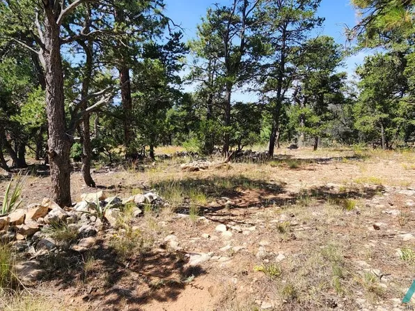 Cien Fuegos Trl, Grants, NM 87020
