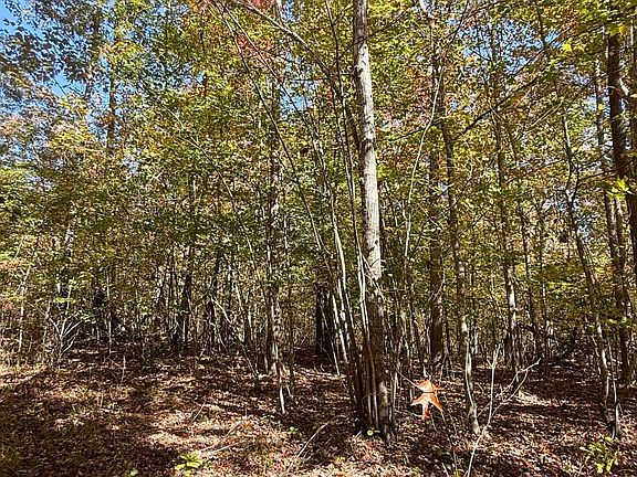 3rd image of 0 Owl Hollow Rd Lot 7