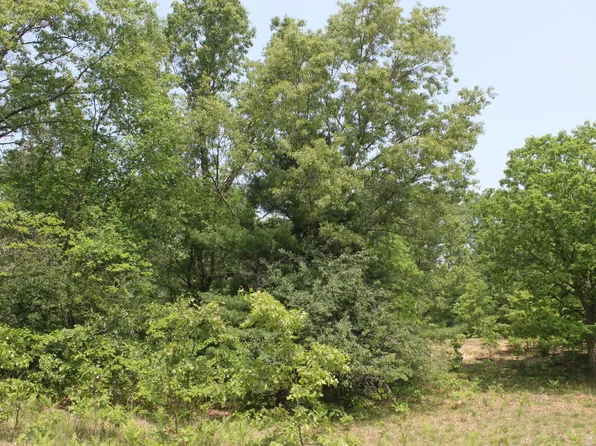PARCEL Airport Rd #I, Wellston, MI 49689