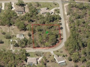 4019 W Alamo Dr, Beverly Hills, FL 34465