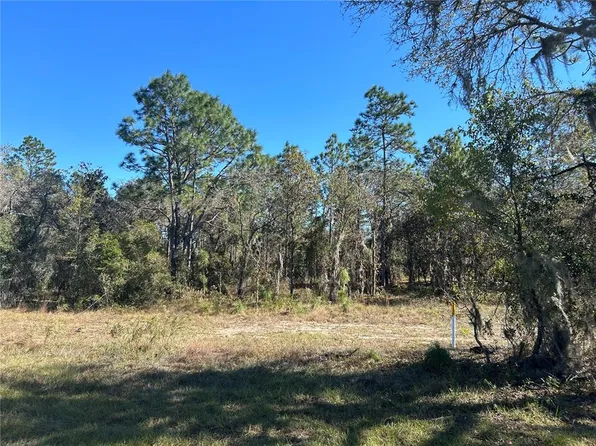SE State Route 121, Morriston, FL 32668