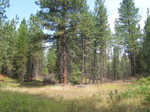 LOT 3 Thirteen Larkspur Way, Kettle Falls, WA 99141