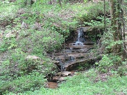 3rd image of 8262 Highway 136 W
