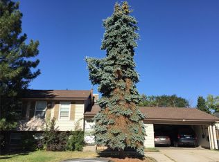 4461 S Wright Ct, Morrison, CO 80465