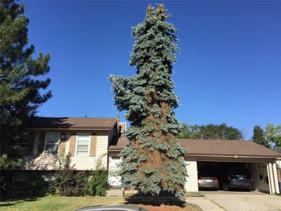 4461 S Wright Ct, Morrison, CO, 80465