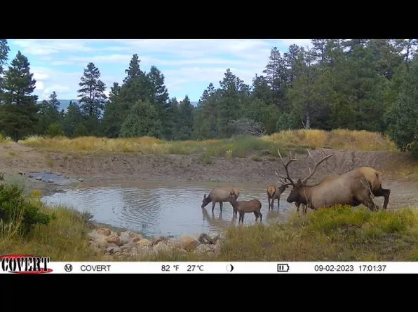 0 Nm St #64, Tierra Amarilla, NM 87575