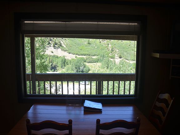 View from kitchen table