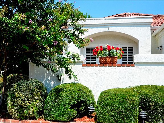 4th image of 25876 Bellis Dr