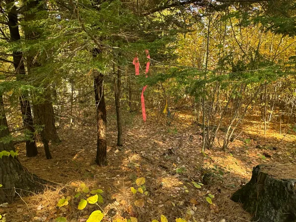 4acres Deering Ridge Road, Waterboro, ME 04087