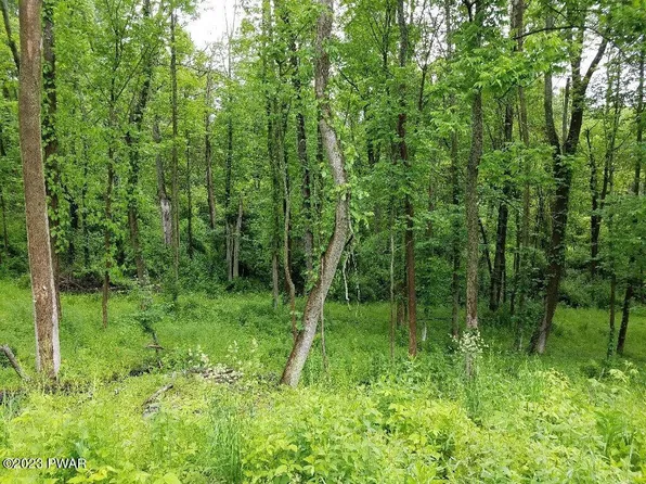 LOT Owego Tpke #B, Honesdale, PA 18431