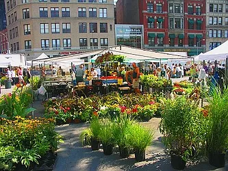 Rented by Next Step Realty New York LLC