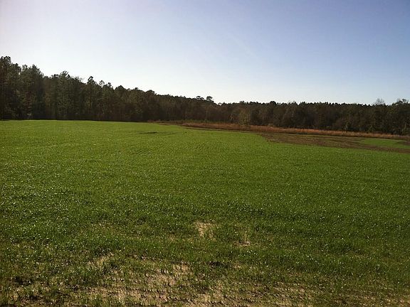 Back field. Looking W.