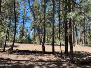 500 Mule Springs Trl #42, Forest Lakes, AZ 85931