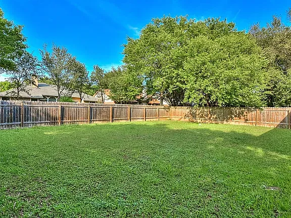 Back yard