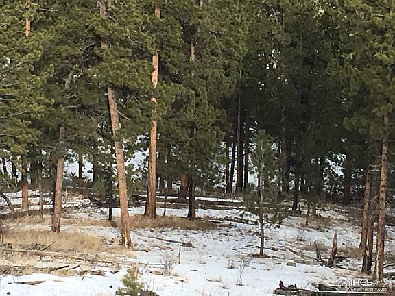 5th image of 2862 Storm Mountain Dr