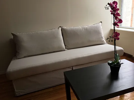 Rented by Urban Real Estate Inc | media 41